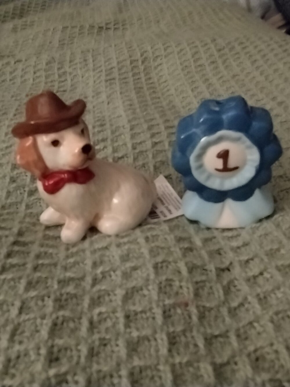 Salt & pepper shaker set- cowboy dog & blue ribbon